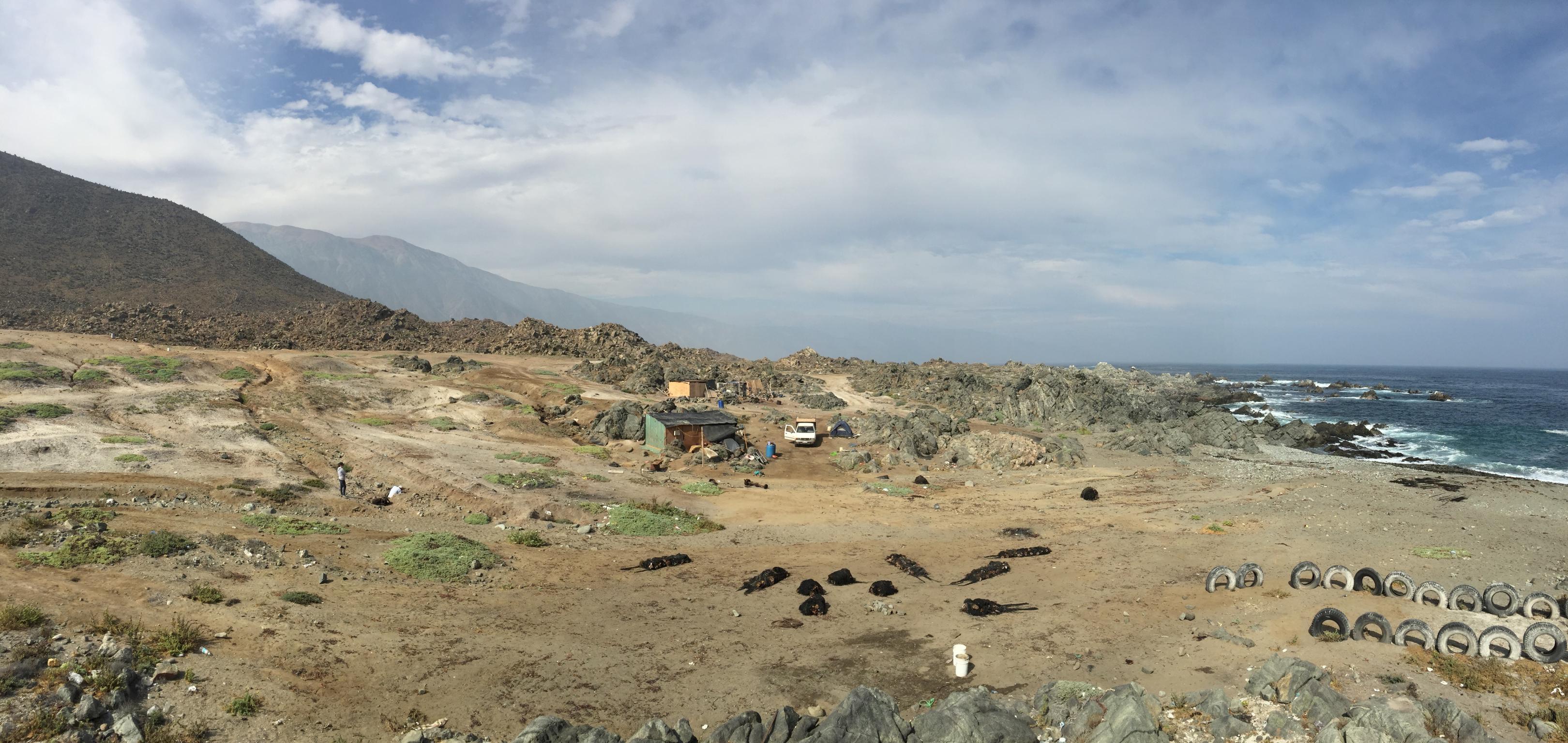 Costa de la Región de Antofagasta en la actualidad