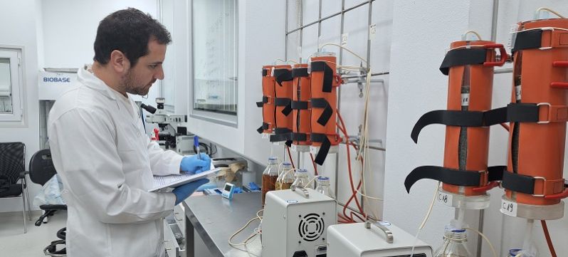 Corfo adjudica fondos para avanzar en la recuperación de cobalto