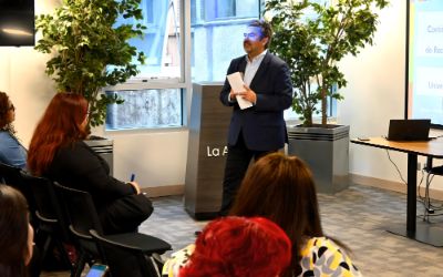 Representación gráfica